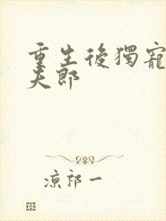 重生后独宠哑巴夫郎