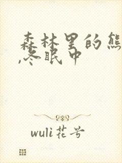 森林里的熊先生,冬眠中