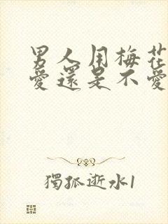 男人用梅花暗示爱还是不爱封面