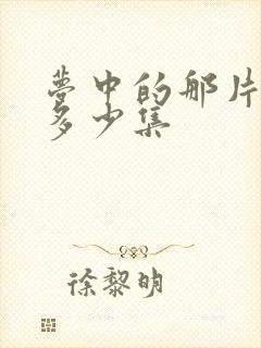 梦中的那片海共多少集