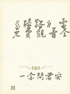 《归路》电视剧免费观看全集