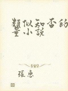 类似知否的高质量小说封面