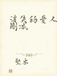 消失的爱人 未删减