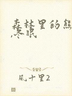 森林里的熊先生,冬眠封面