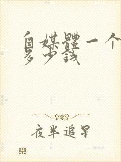 自媒体一个月赚多少钱