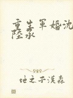 重生军婚沈念和陆承