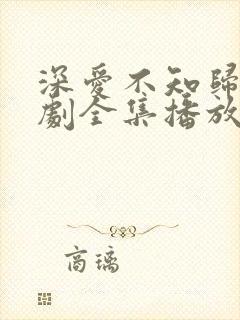 深爱不知归路短剧全集播放免费最新