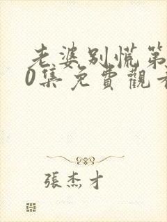 老婆别慌第100集免费观看