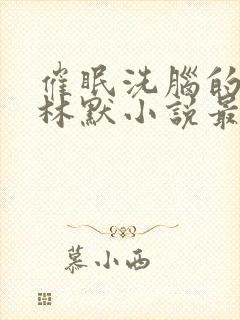 催眠洗脑的姐姐林默小说最新章节更