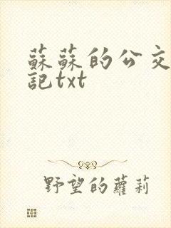 苏苏的公交车日记txt