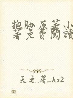 抱胁原著小说原著免费阅读