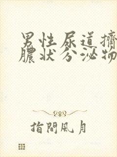 男性尿道挤出黄脓状分泌物