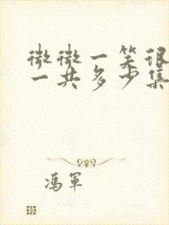 微微一笑很倾城一共多少集