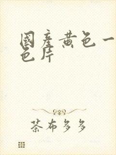 国产黄色一级黄色片