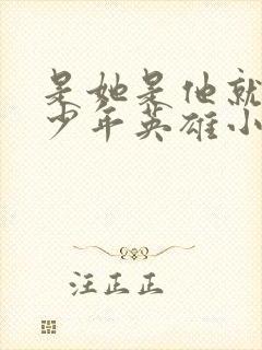 是她是他就是他少年英雄小哪吒封面