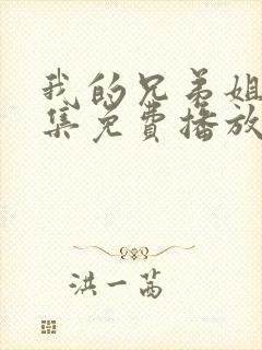 我的兄弟姐妹全集免费播放电视剧封面