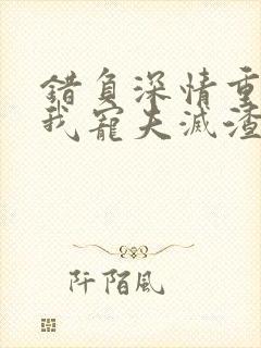 错负深情重生后我宠夫灭渣