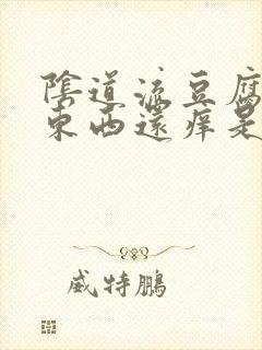 阴道流豆腐渣的东西还痒是什么情况