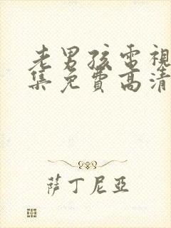 老男孩电视剧全集免费高清在线观看