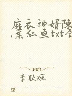 麻衣神婿陈黄皮,叶红鱼txt全文下载