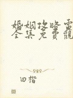 婚姻攻略电视剧全集免费观看第10集