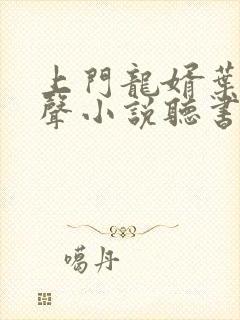 上门龙婿叶辰有声小说听书