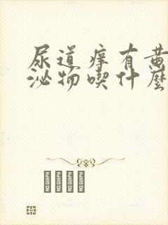 尿道痒有黄色分泌物吃什么药