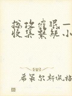 总攻催眠—情欲收集系统小说免费阅