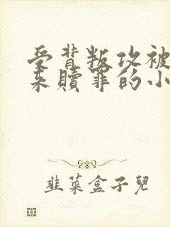 受背叛攻被送回来赎罪的小说