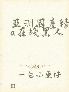 亚洲国产精品va在线黑人