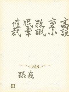 催眠改变高冷总裁常识小说