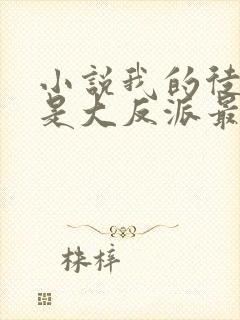 小说我的徒弟都是大反派最新章节