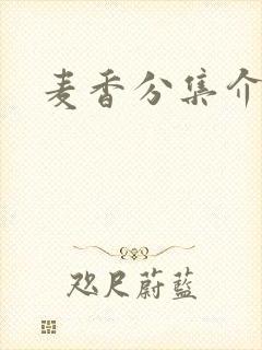 麦香分集介绍