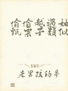 偷偷越过她by甄栗子类似小说