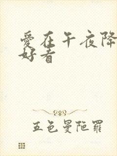 爱在午夜降临前好看