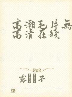 高潮毛片无遮挡高清在线