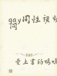 gay同性视频网封面