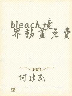 bleach境界动画免费观看全集封面