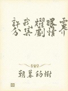 许我耀眼电视剧分集剧情介绍