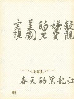 完美的嫌疑人电视剧免费观看封面