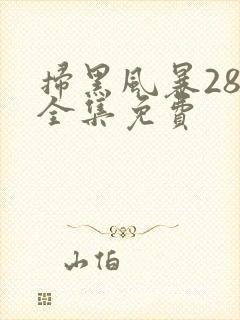 扫黑风暴28集全集免费