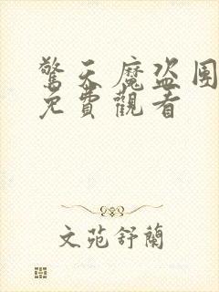 惊天魔盗团3 免费观看