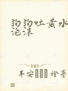 狗狗吐黄水是带泡沫