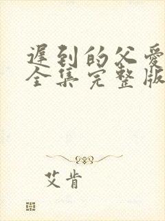 迟到的父爱短剧全集完整版免费观看封面