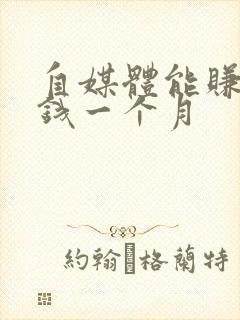 自媒体能赚多少钱一个月