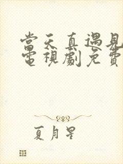 当天真遇见爱情电视剧免费版