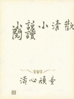 小说小清欢在线阅读