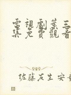 电视剧叶三天全集免费观看