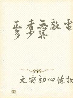 正者无敌电视剧多少集