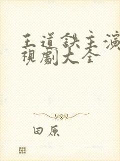 王道铁主演的电视剧大全